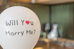 20 Proposal Ideas That Include Your Dog or Cat